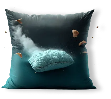 Image pillow 01