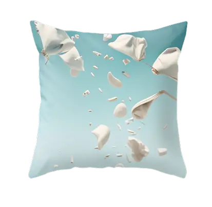 Image pillow 02