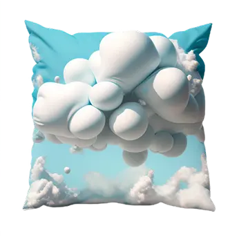 Image pillow 03