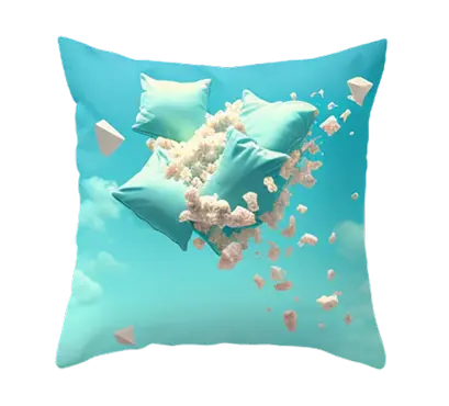 Image pillow 04